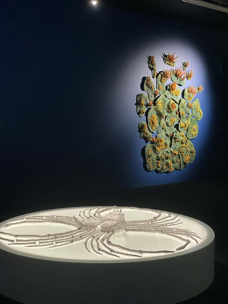 Le royaume de l'anémone, 2022 Installation céramiques, sculpture grès engobes couleurs H210 x L230 cm Réf. MP-2203 ©Muriel Persil