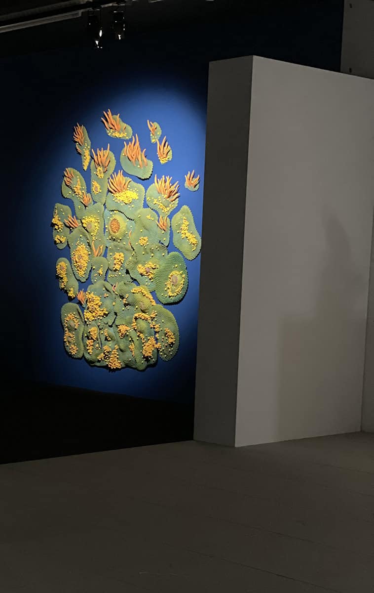 Le royaume de l'anémone, 2022 Installation céramiques, sculpture grès engobes couleurs H210 x L230 cm Réf. MP-2203 ©Muriel Persil
